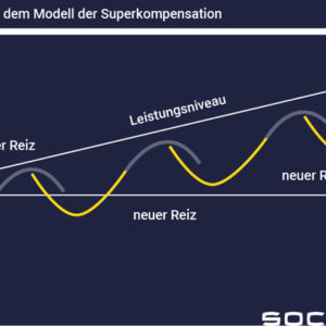 Mit Superkompensation zum Leistungsschub