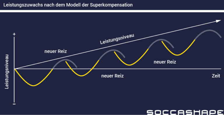 Mit Superkompensation zum Leistungsschub